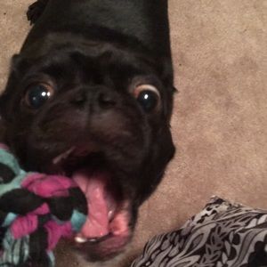 Meet your Posher, Allison